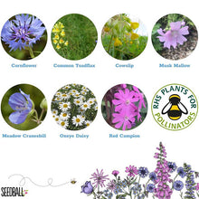 Load image into Gallery viewer, Seedball Mini Tins - Bee Friendly Wildflower Seeds