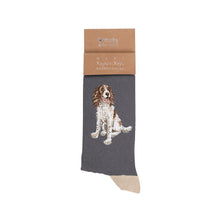 Load image into Gallery viewer, Spaniel Men's Socks - 'Willow' - Wrendale designs
