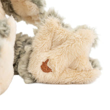 Load image into Gallery viewer, 'Elliot' Frog Plush Character - Wrendale Designs