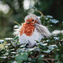 Load image into Gallery viewer, Adele 'Robin' Plush Character - Wrendale Design