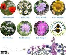 Load image into Gallery viewer, Seedball Tin - Artist's Meadow