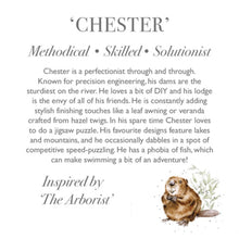 Load image into Gallery viewer, 'Chester' Beaver Plush Character - Wrendale Designs