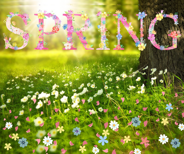 HELLO    SUNSHINE