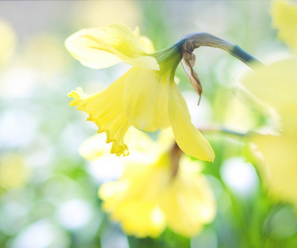 Spring has sprung!
