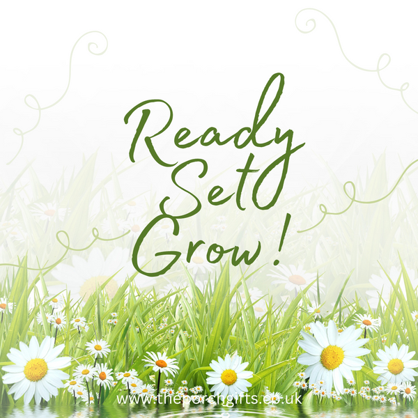 Ready, Set, Grow!