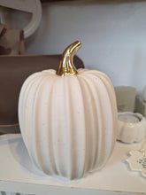 Load image into Gallery viewer, Cream Ceramic Pumpkin - East of India
