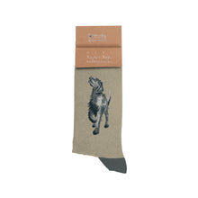 Load image into Gallery viewer, Labrador Men&#39;s Socks - &#39;Walkies&#39; - Wrendale Designs
