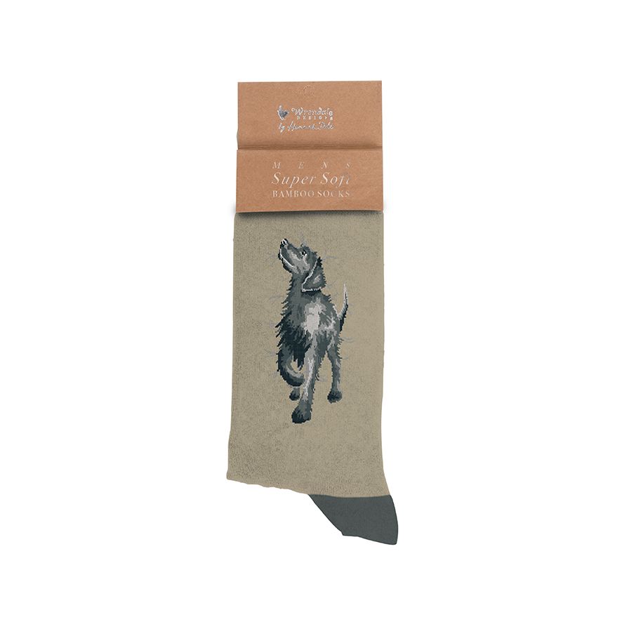 Labrador Men's Socks - 'Walkies' - Wrendale Designs