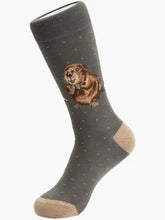 Load image into Gallery viewer, 'The Arborist' Beaver Mens Socks - Wrendale Designs
