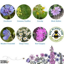 Load image into Gallery viewer, Seedball Mini Tins - Bee Friendly Wildflower Seeds
