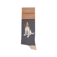 Spaniel Men's Socks - 'Willow' - Wrendale designs