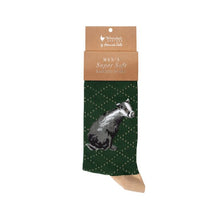 Load image into Gallery viewer, &#39;The Country Gent&#39; Men&#39;s Badger Socks - Wrendale Designs
