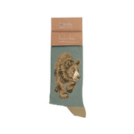 Bear Men's Socks - 'In My Footsteps' - Wrendale designs