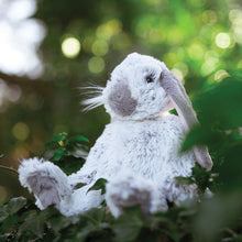 Load image into Gallery viewer, &#39;Rosie&#39; Rabbit Plush Character - Wrendale designs
