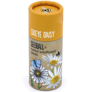 Seedball Tubes - Oxeye Daisy