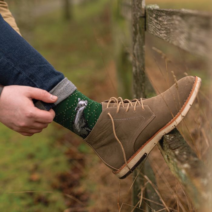 'The Country Gent' Men's Badger Socks - Wrendale Designs