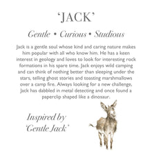Load image into Gallery viewer, &#39;Jack&#39; Donkey Plush Character - Wrendale designs
