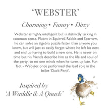 Load image into Gallery viewer, &#39;Webster&#39; Plush Wrendale Character - Wrendale Designs
