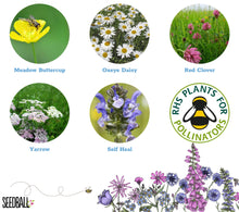 Load image into Gallery viewer, Seedball Tin - Mum&#39;s Meadow
