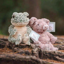 Load image into Gallery viewer, 'Elliot' Frog Plush Character - Wrendale Designs
