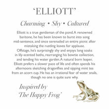 Load image into Gallery viewer, 'Elliot' Frog Plush Character - Wrendale Designs
