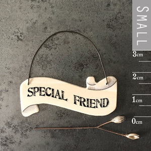 Small Ribbon Sign/Gift Tag - Special Friend - East of India