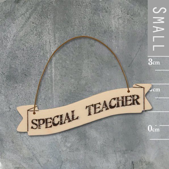 Small Ribbon Sign/Gift Tag - Special Teacher - East of India