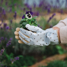 Load image into Gallery viewer, &#39;Bee&#39; Garden Gloves
