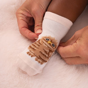 'Little Forest' Woodland Animal Baby Socks