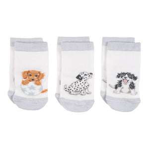 'Little Paws' Dog Baby Socks