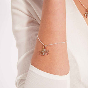 Florence star bracelet by Joma Jewellery